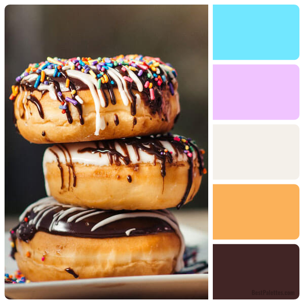 Chocolate coated Donuts - BestPalettes.com